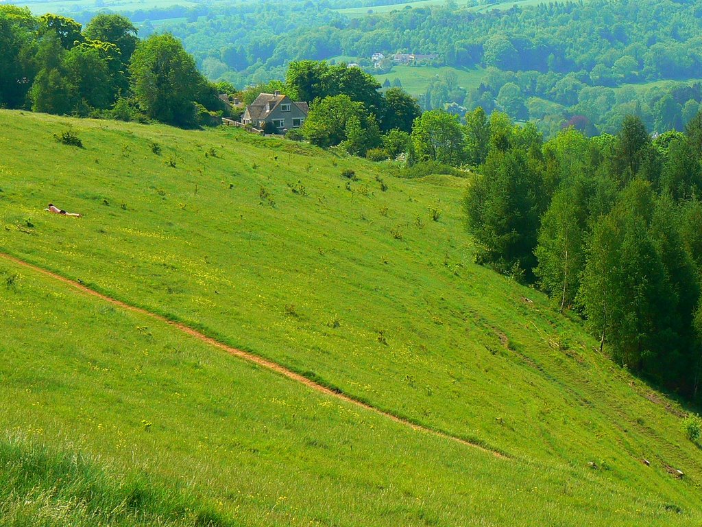 Rodborough Common, near Stroud (south-west)