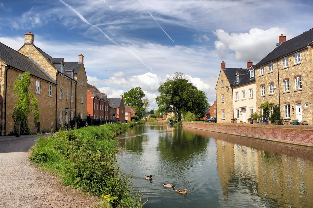 Ducks on Stroudwater