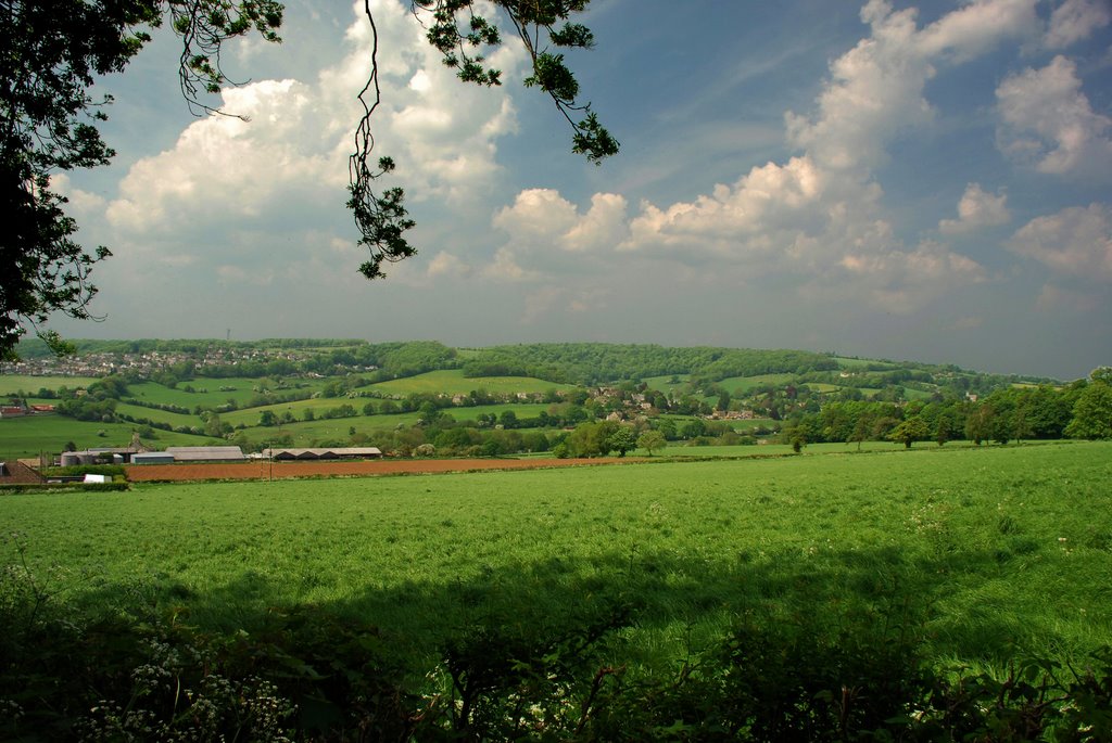 Looking towards Pitchcombe