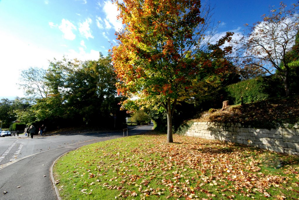 Folly Lane