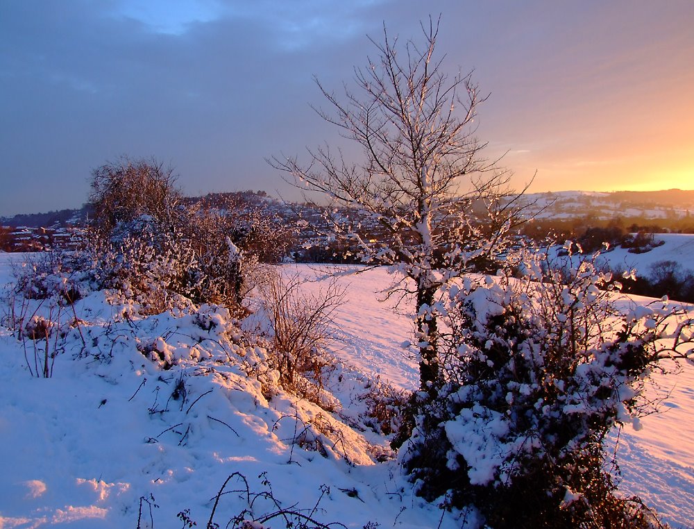 Uplands snow