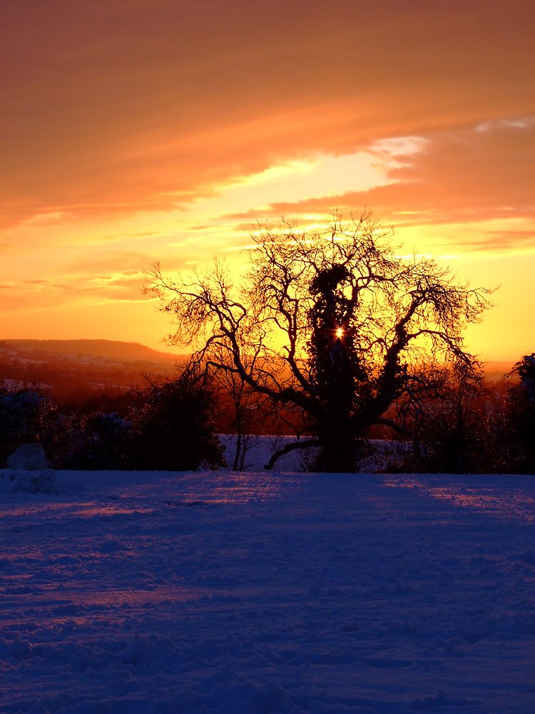 Gold and blue Uplands