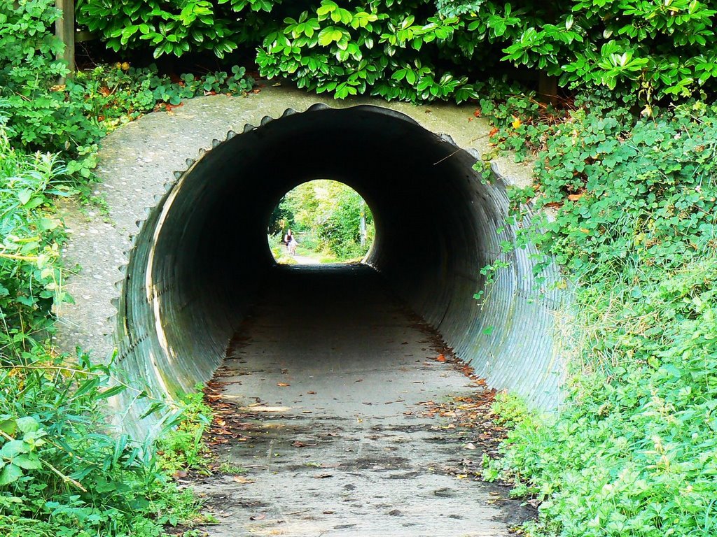 Trackbed of the Nailsworth to Stonehouse railway, Stroud