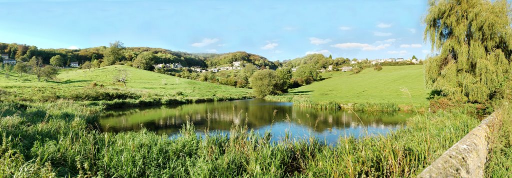 Pond at Ruscombe Farm
