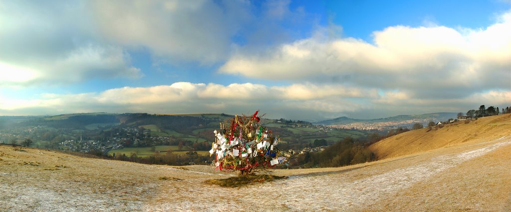 Dog Tree at Rodborough Common