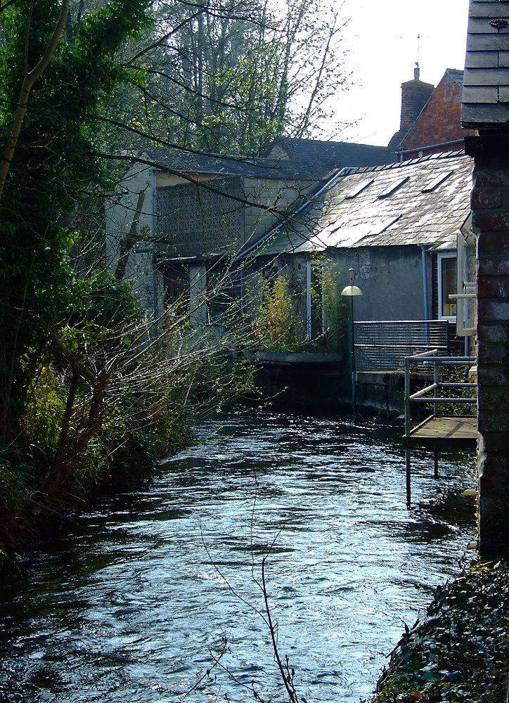 Wallbridge