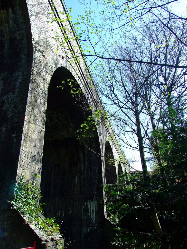 Rail bridge
