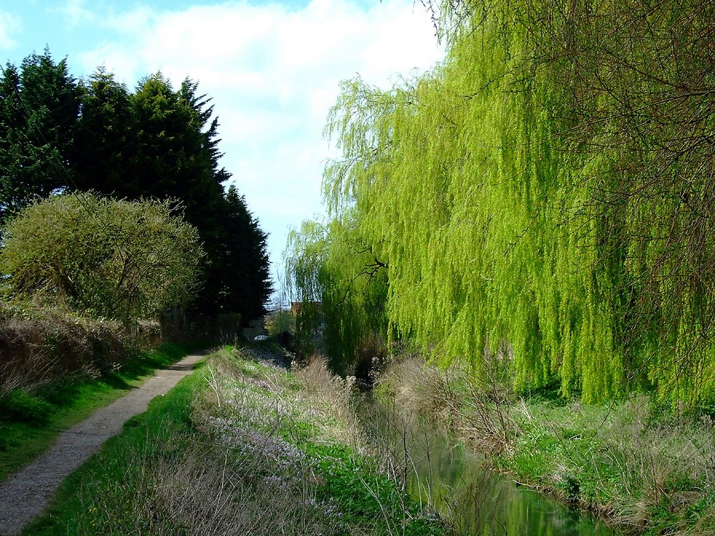 Stroud canal path