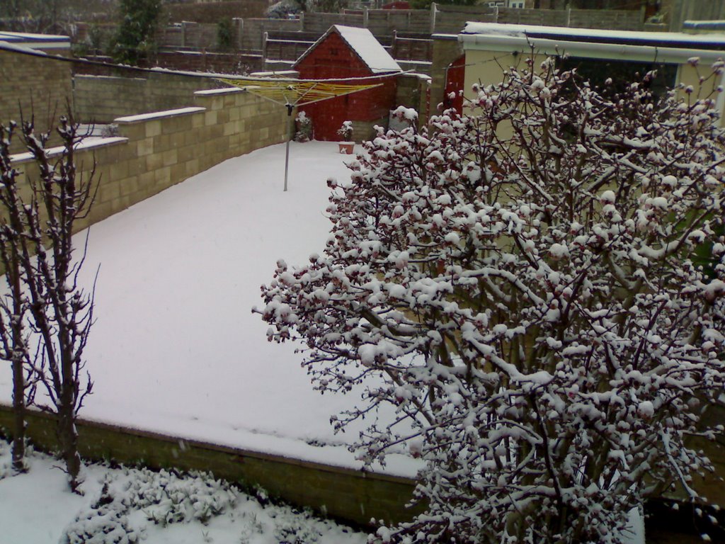 Snow 08-02-07