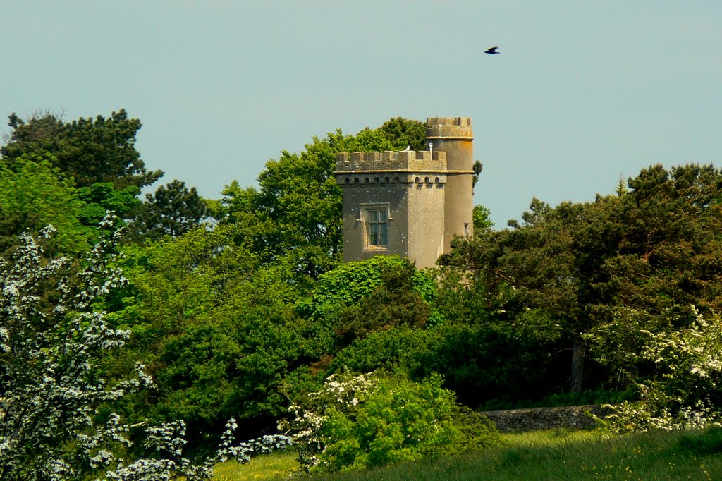 Rodborough Fort, Rodborough Common, near Stroud UK (N)