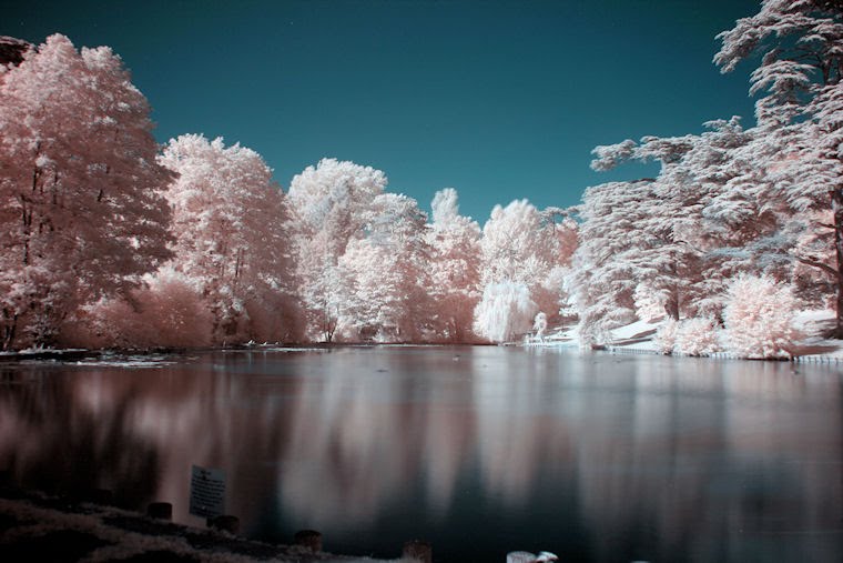 Stratford Pink
