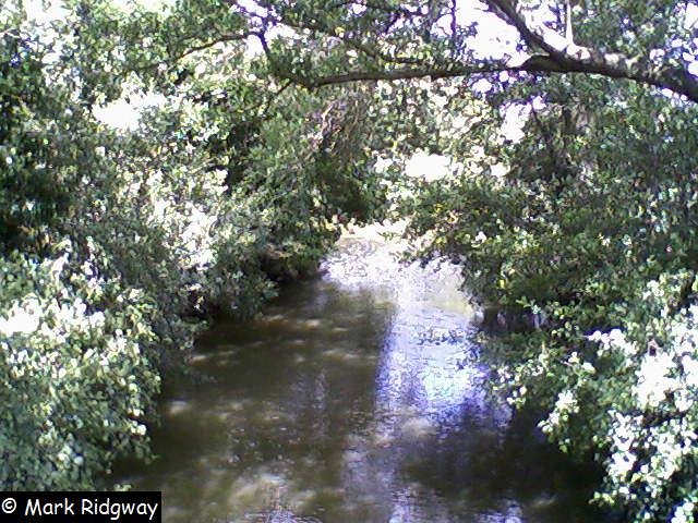 The River Medway, Tonbridge Sportsground (3)