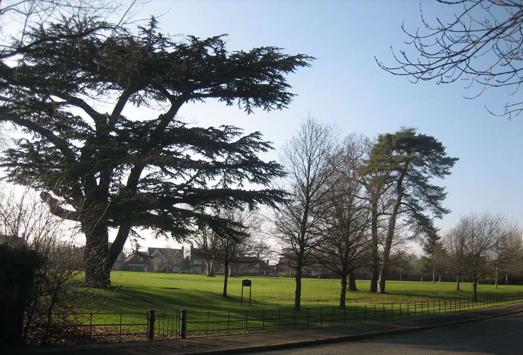 The Haydens, Tonbridge