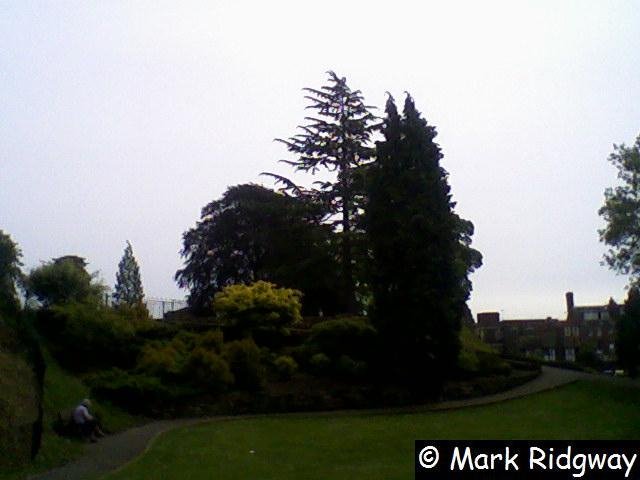 Tonbridge Castle Gardens (3)