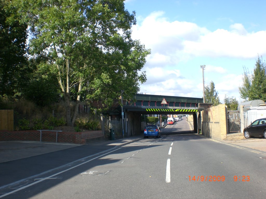 Bridge