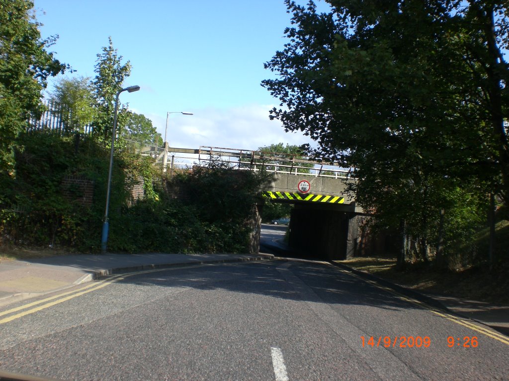 Bridge