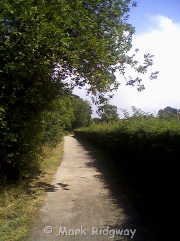 A Path in Tonbridge Sportsground (1)