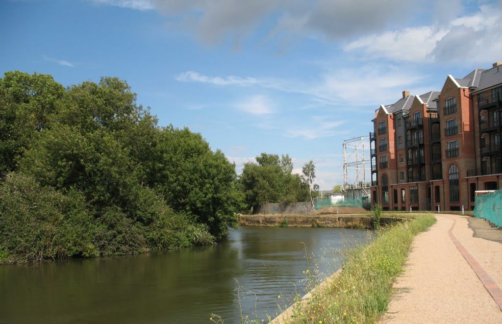 View downriver eastwards, Tonbridge Town Lock, July 2009