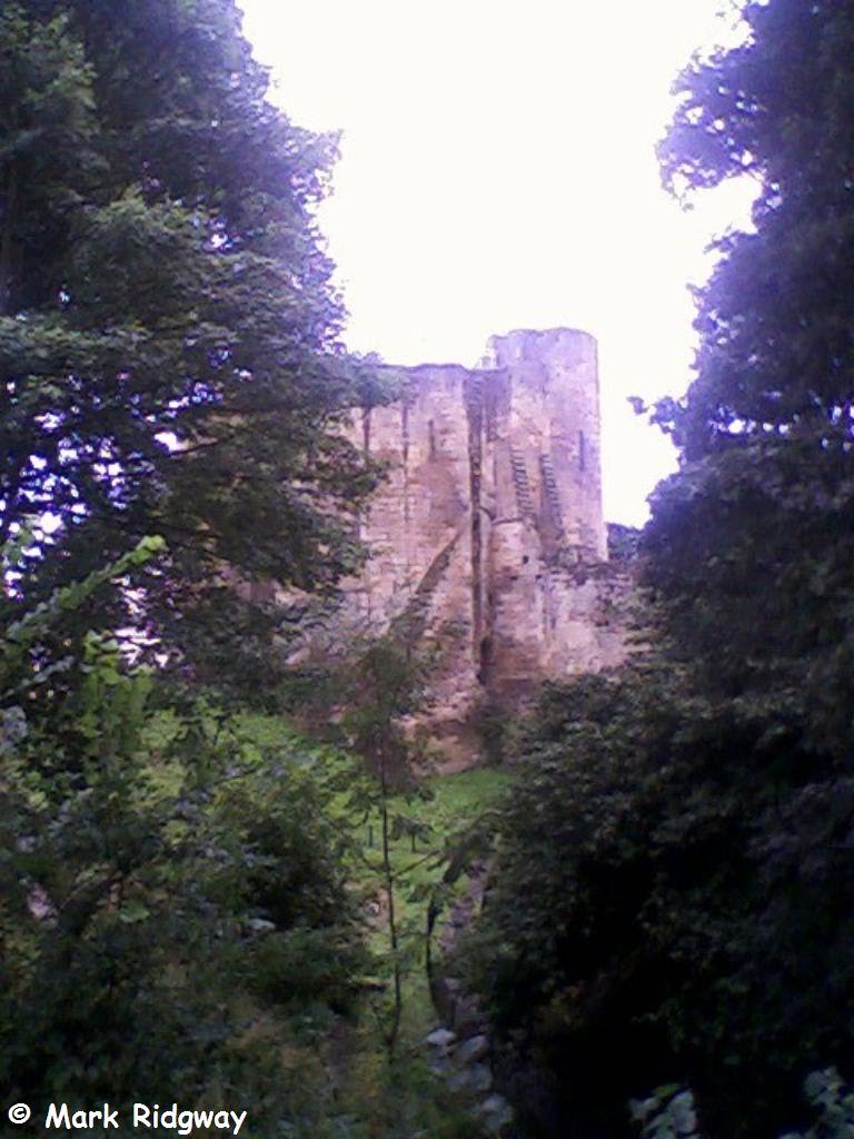 Tonbridge Castle viewed through trees