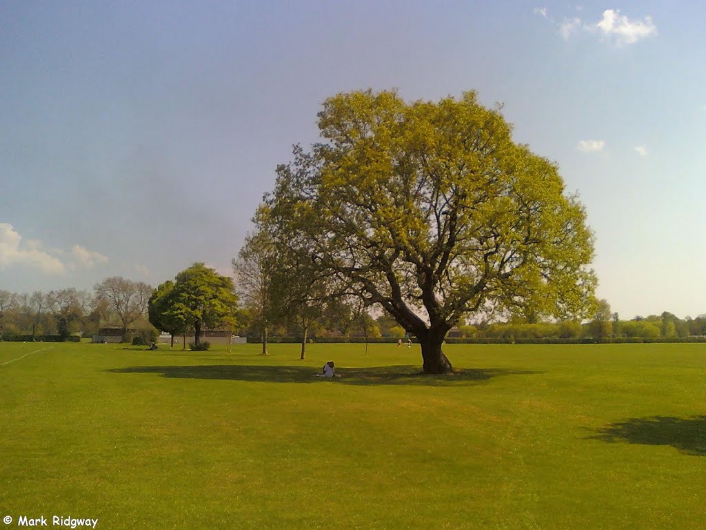 Tonbridge Racecourse Sportsground (2)