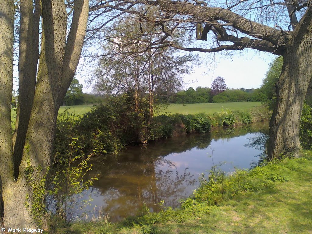 The River Medway, Tonbridge Sportsground (6)