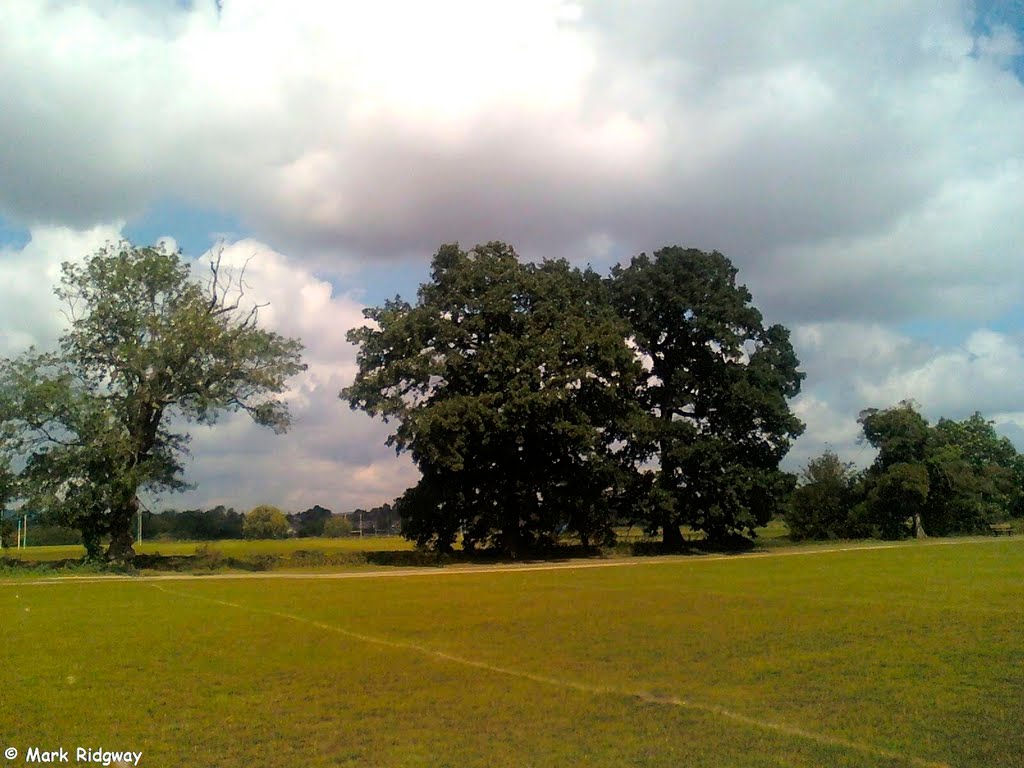 Tonbridge Racecourse Sportsground (5)
