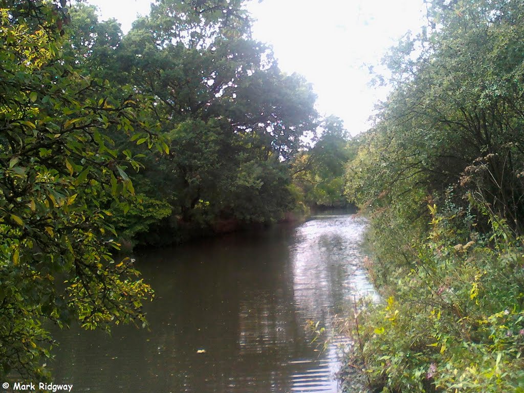 The River Medway (3)