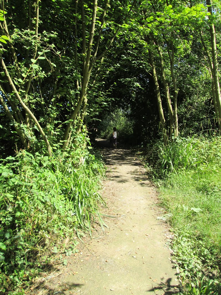 Priory wood footpath. Agosto 2013