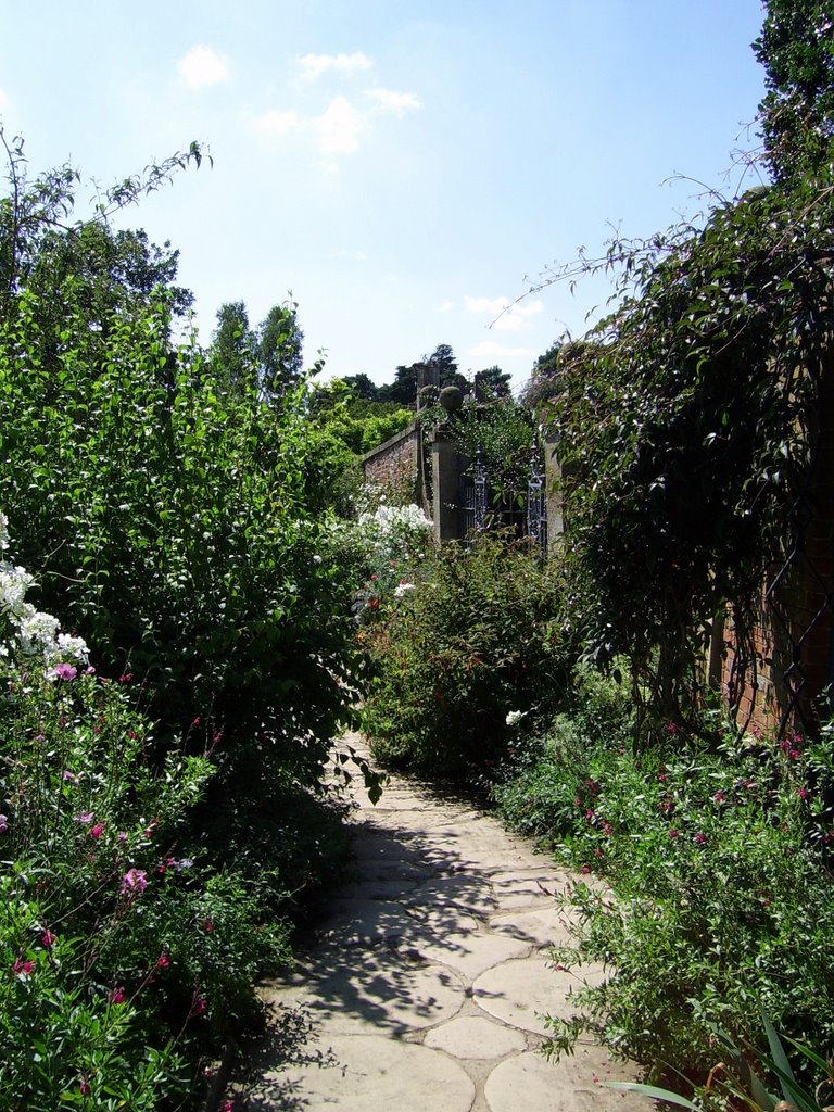 Path