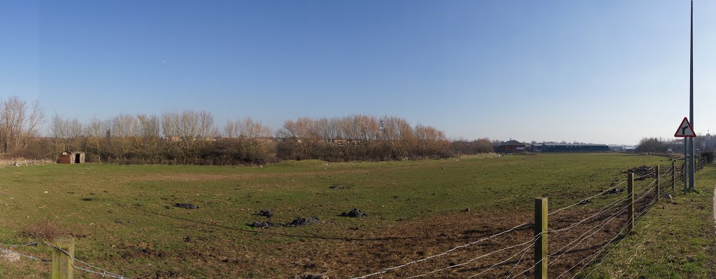 Paddock