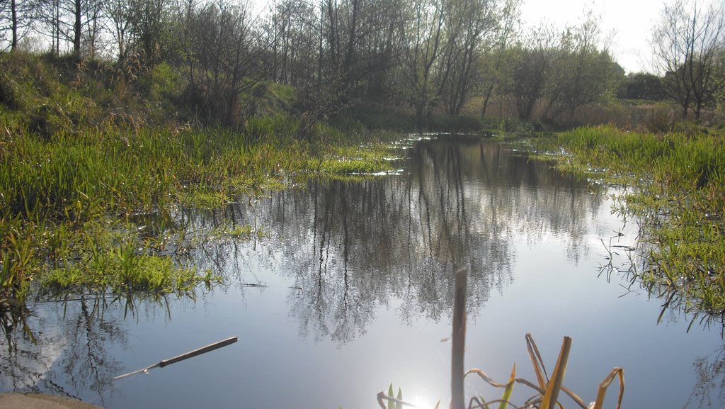 river tees thornaby, horse shoe bend