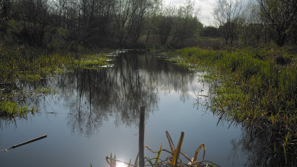 horse shoe bend thornaby