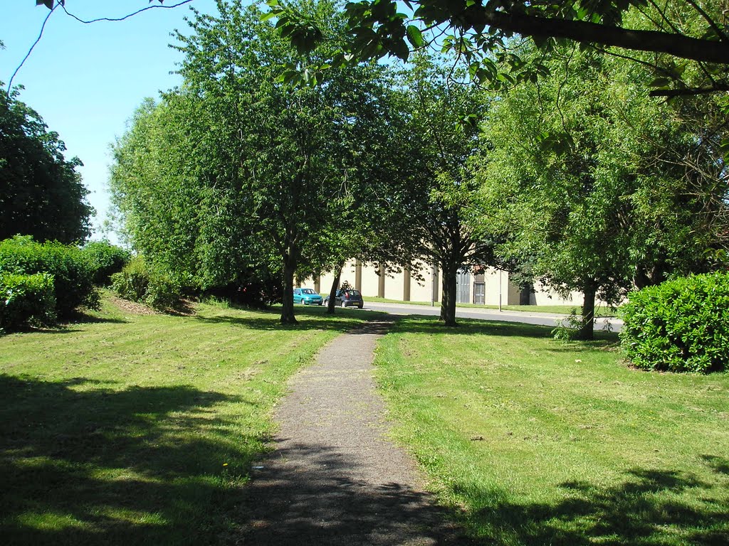 Interlink path between major roads