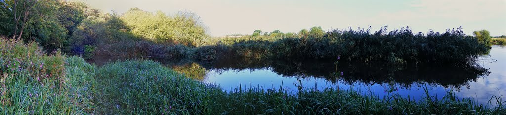 River Tees