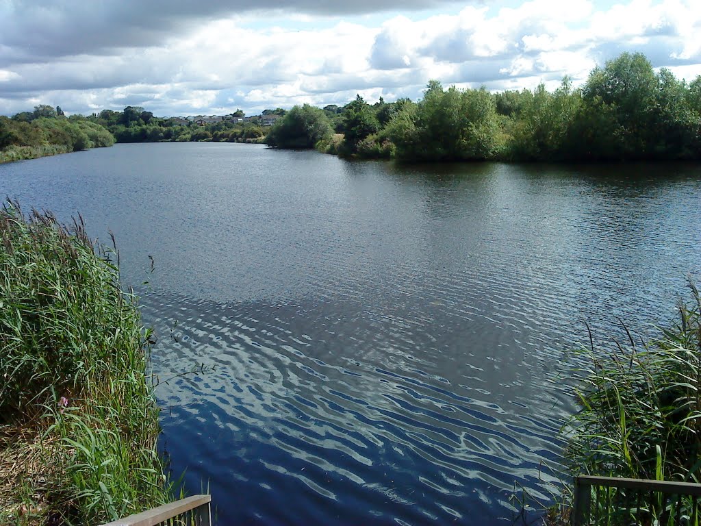 Horseshoe bend, River Tees, Thornaby