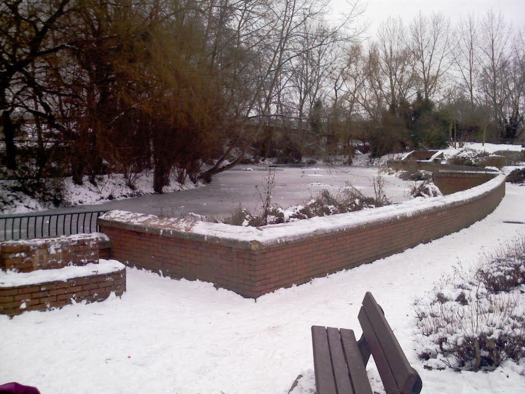 Trowbridge Park frozen Duck Pond - 11.01.2010