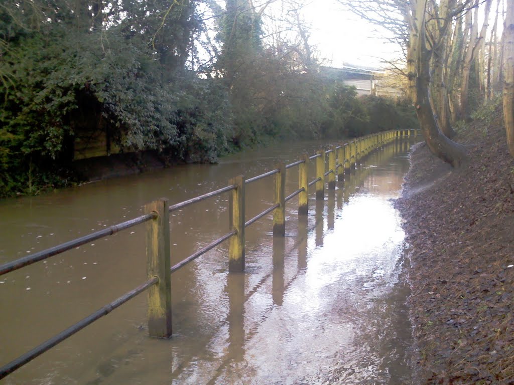 Flooded River Biss - 18.01.2010
