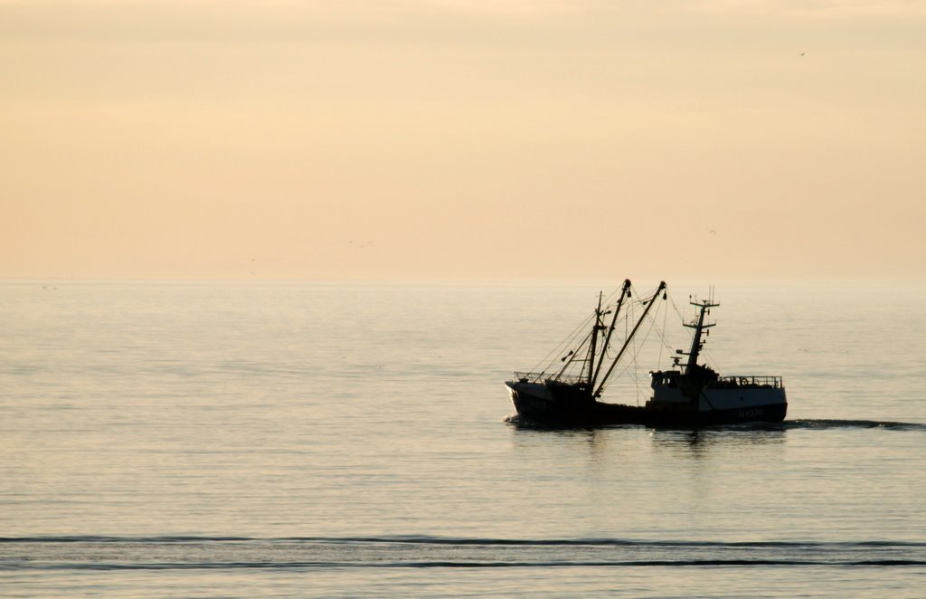Leaving the harbour