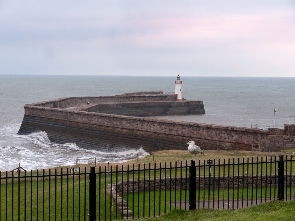 Harbour Wall