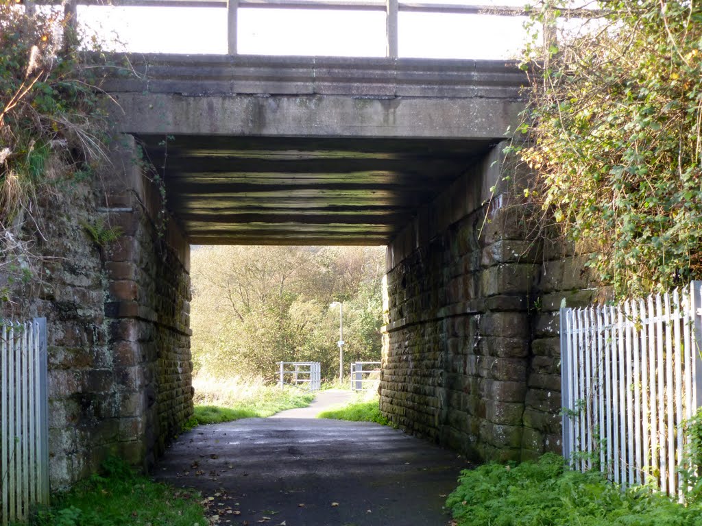 Cattle Arch