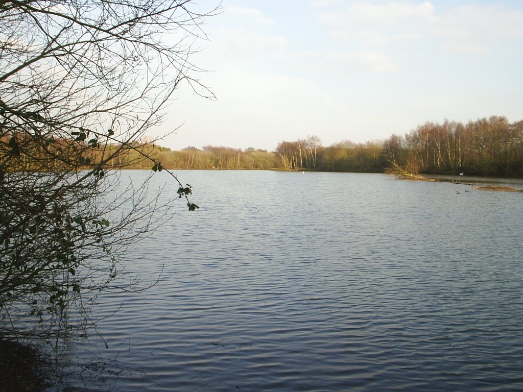 Frimley Pit 3 Deep point