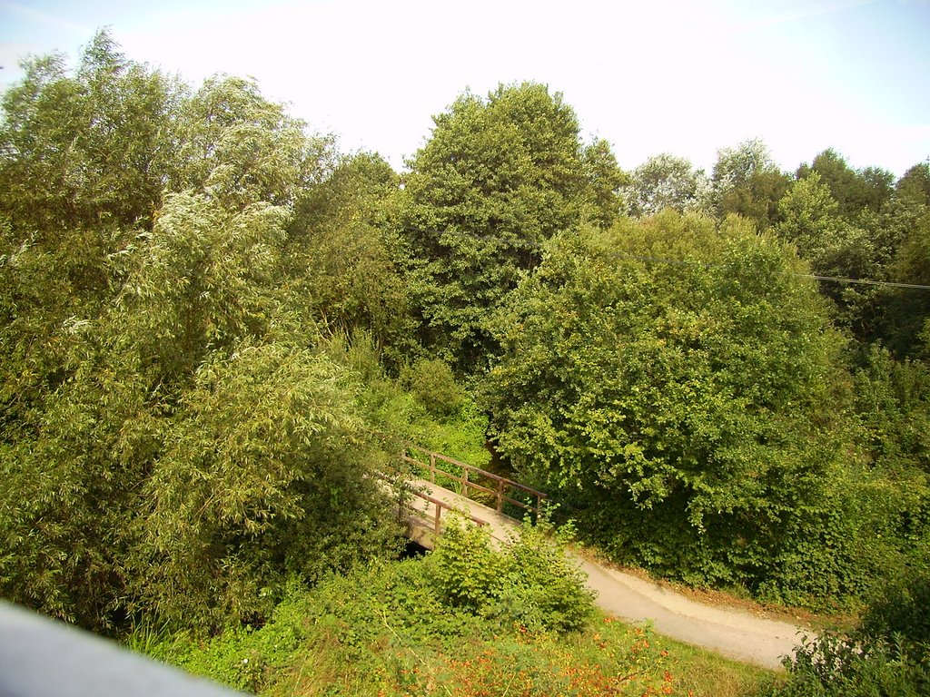 Footbridge over the River Blackwater near Farnborough