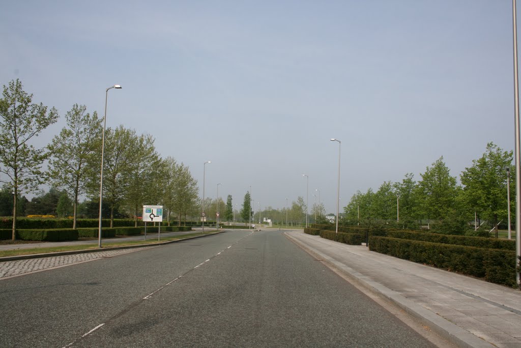 Fowler Avenue IQ