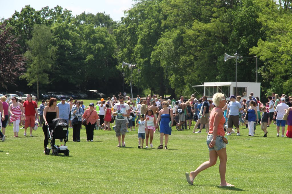 Donkey Derby on King George playing fields
