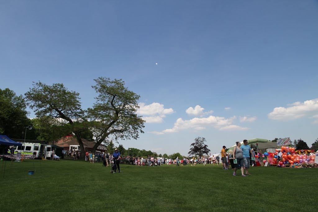 Donkey Derby on King George playing fields