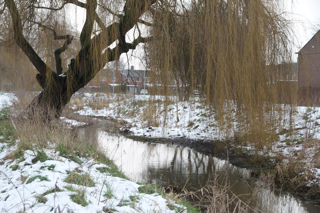 Cove Brook Greenway