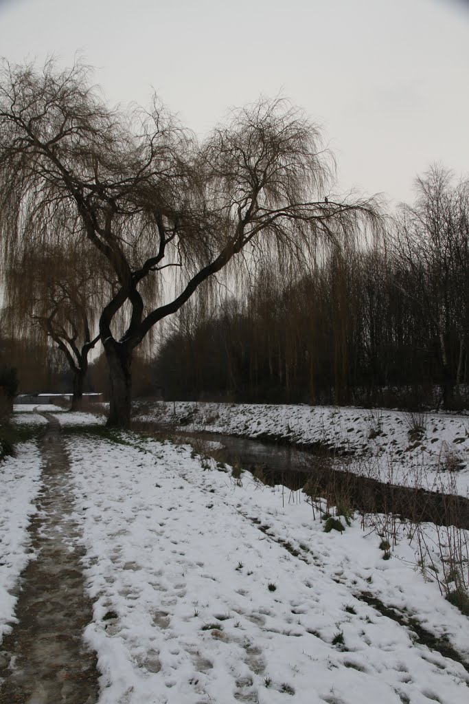 Cove Brook Greenway