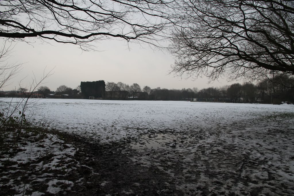 Cove Brook Greenway