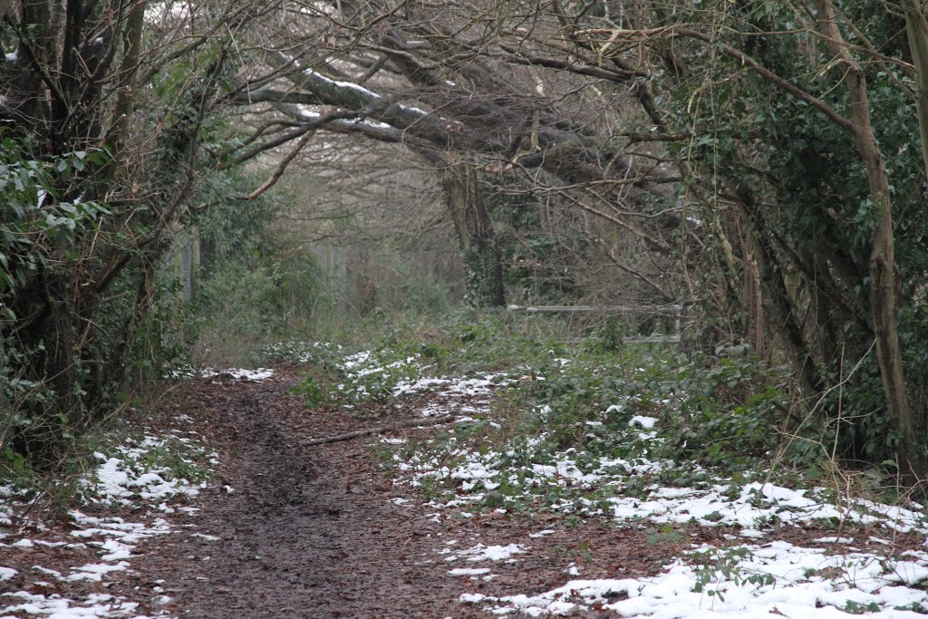Cove Brook Greenway