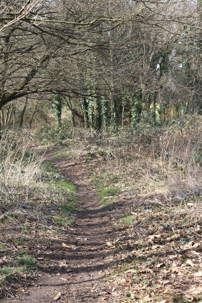 Cove Brook Greenway